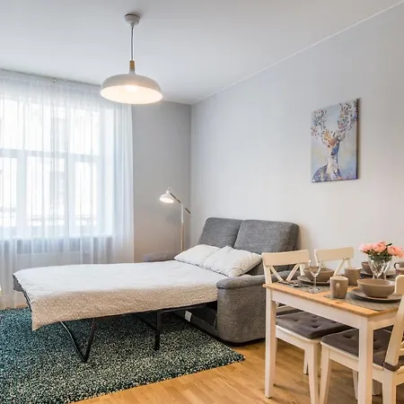 Apartment Charming 1br - 46m2 - Perfect Location Riga